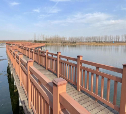 山西臨汾項目工程案例