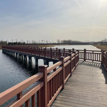 山西臨汾項目工程案例