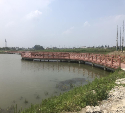 江蘇金壇直溪生態濕地公園項目